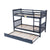 Zenith Trundle Bunk Bed