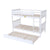 Zenith Trundle Bunk Bed